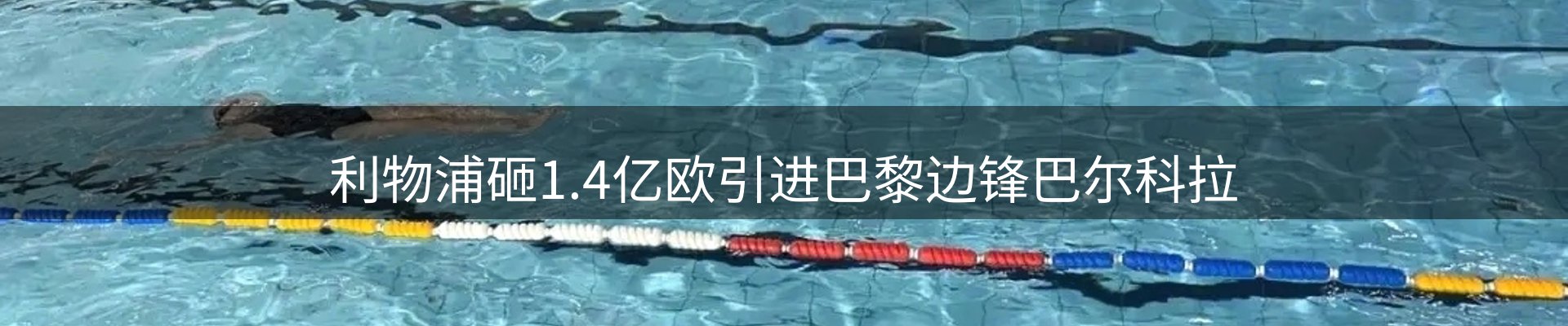 焦点探析