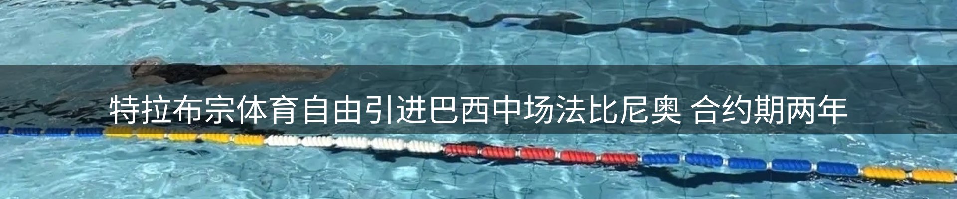 焦点探析