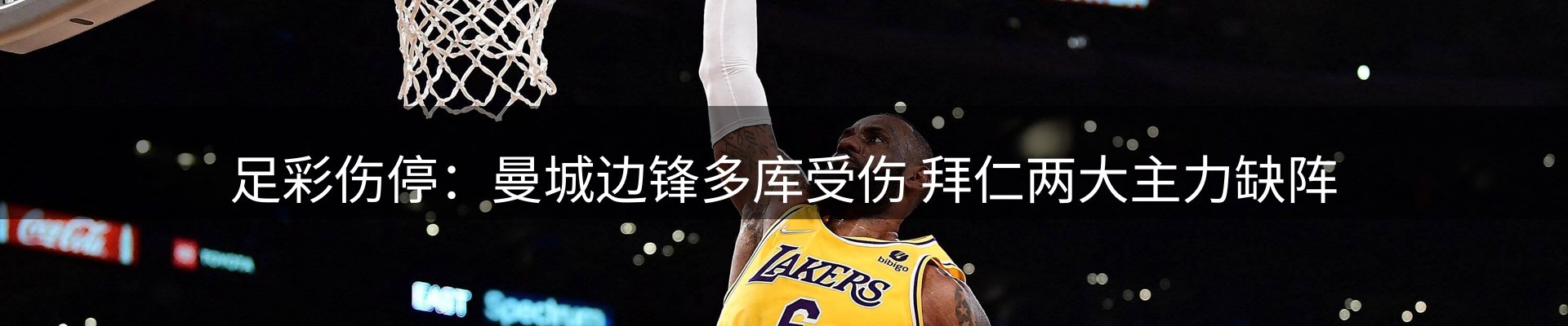 焦点探析